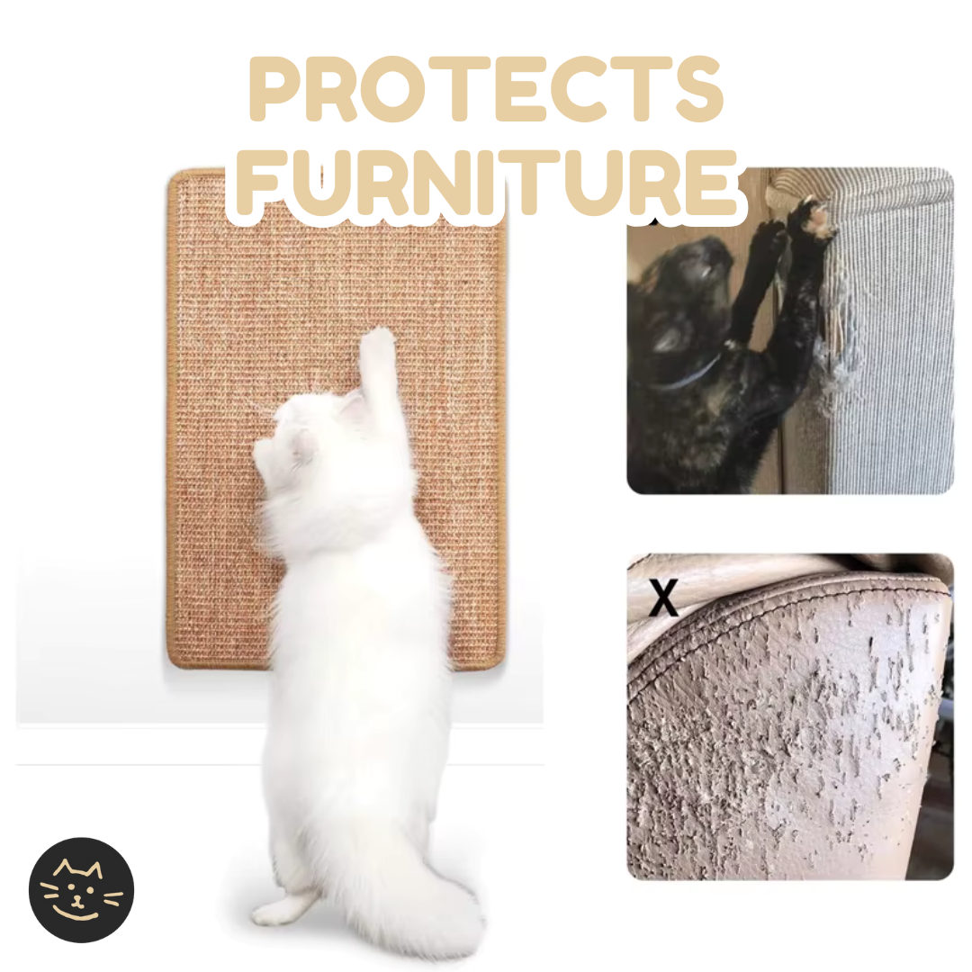 Cat Scratcher Mat | Protects Couch & Furniture