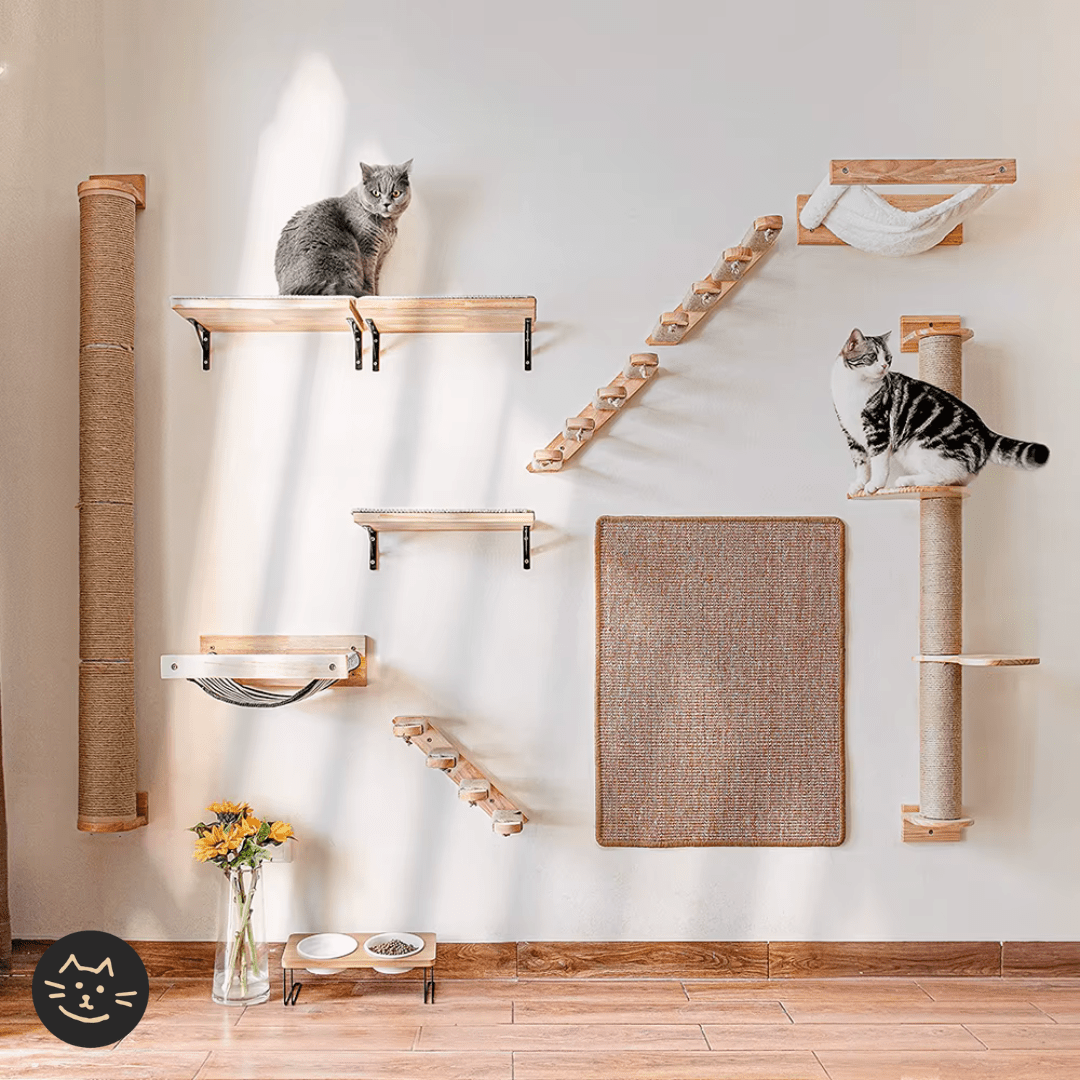 Customizable Cat Wall Wooden Shelves - Kitty Twin