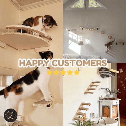 Customizable Cat Wall Wooden Shelves - Kitty Twin